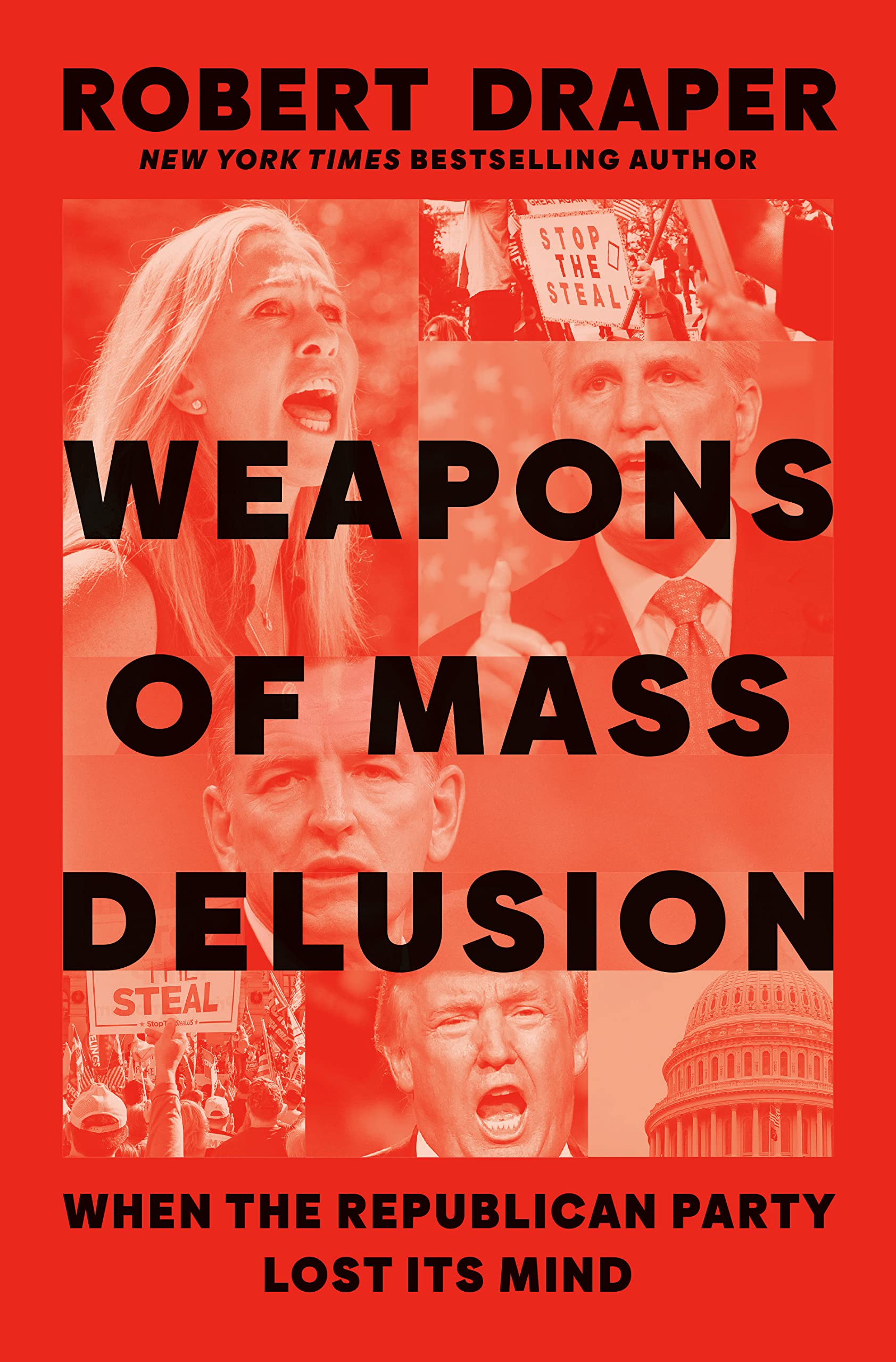 weapons of mass delusion book